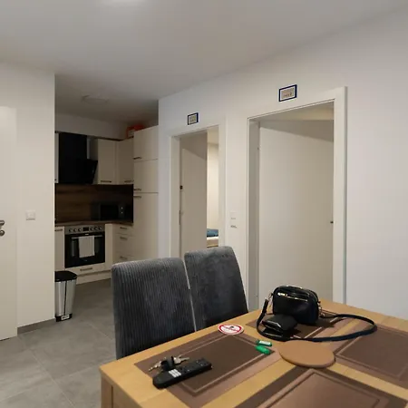 Zimmervermietung Projektentwicklungs Gmbh 3 Apartament